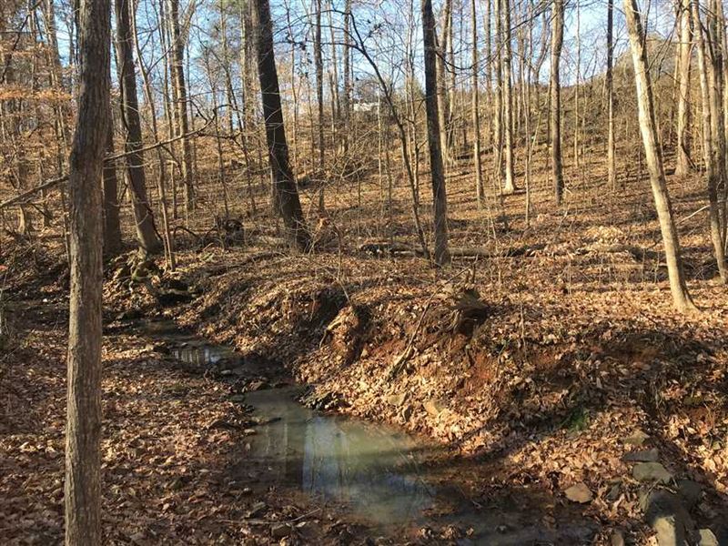 4 Acres in Cabarrus County Land for Sale in Mount Pleasant, Cabarrus
