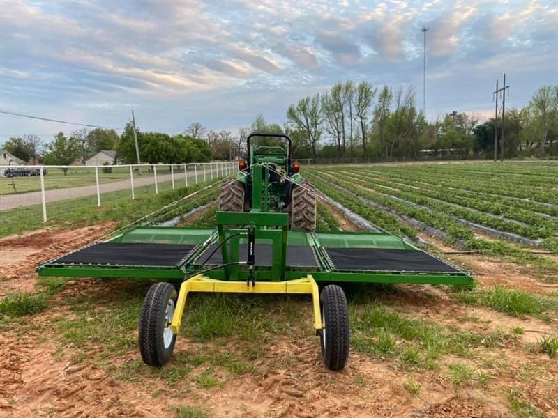 Arkansas Strawberry Farm : Ozark : Franklin County : Arkansas