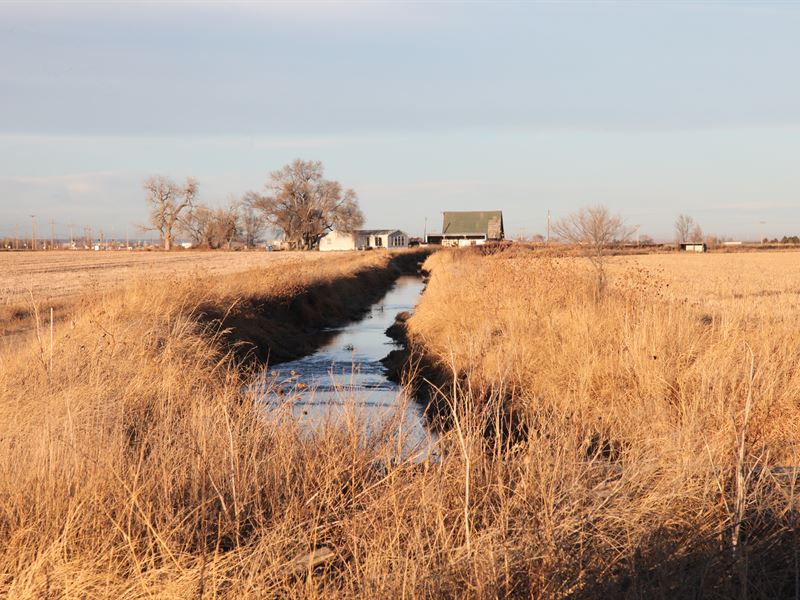 Paradise By The River : Sterling : Logan County : Colorado