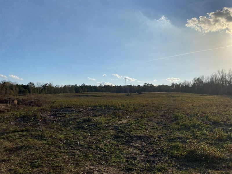 Lee County Mini-Farm : Beauregard : Lee County : Alabama