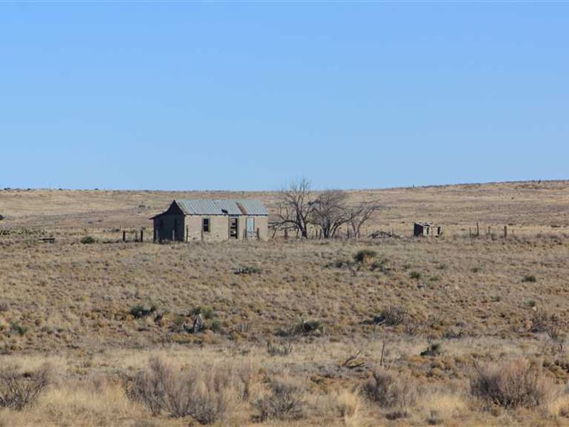 640 Acres at Claunch, NM : Claunch : Socorro County : New Mexico