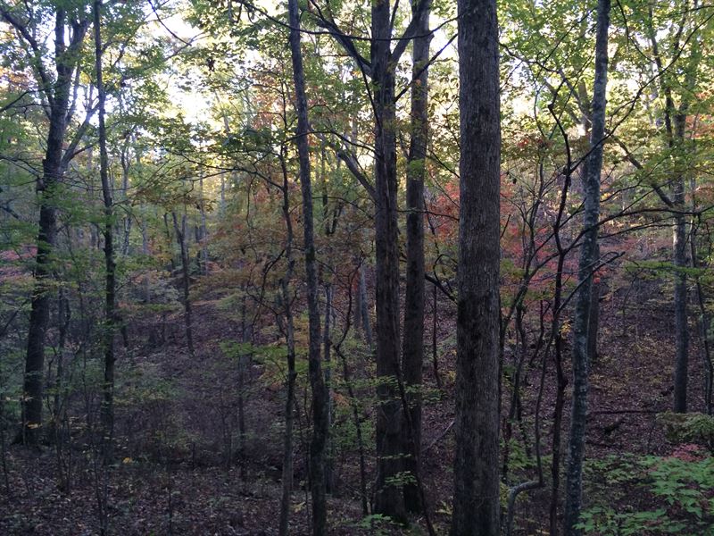 Garland Mountain 4.26+/ Acres Land for Sale in Waleska, Cherokee