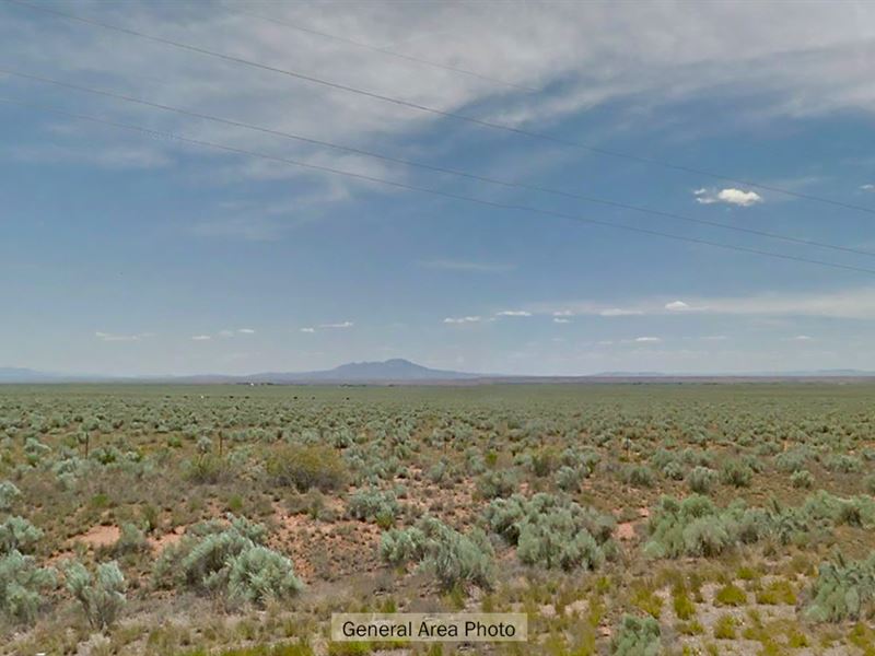 One Acre Retreat in New Mexico : Belen : Valencia County : New Mexico