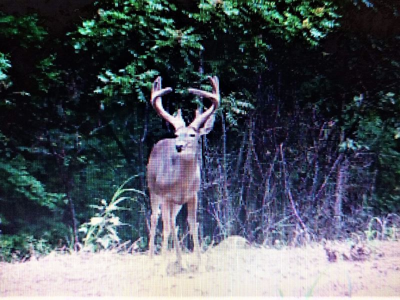 Golson Plantation : Letohatchee : Lowndes County : Alabama