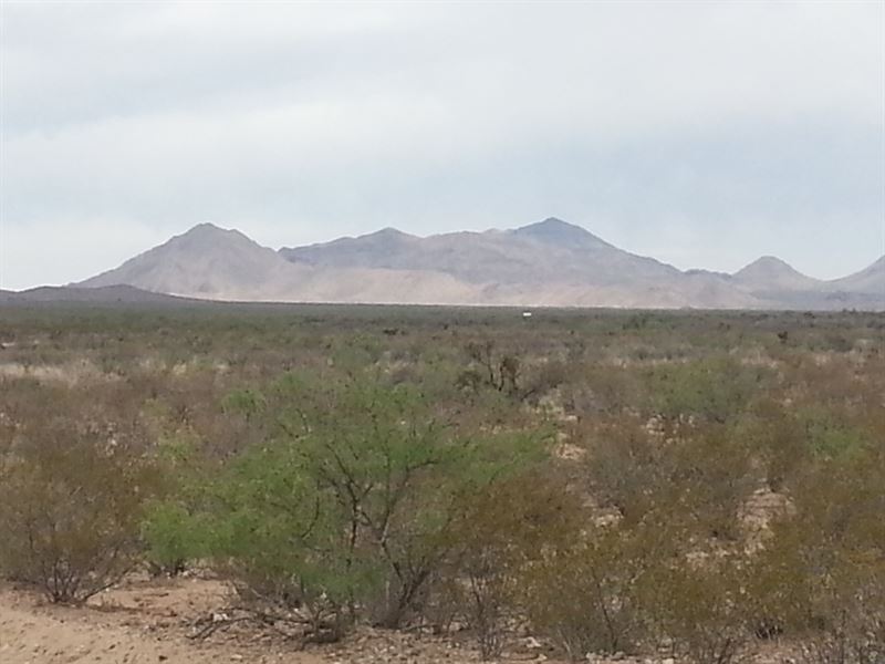 20 Ac in The Foothills, $299/Mo : Salt Flat : Hudspeth County : Texas