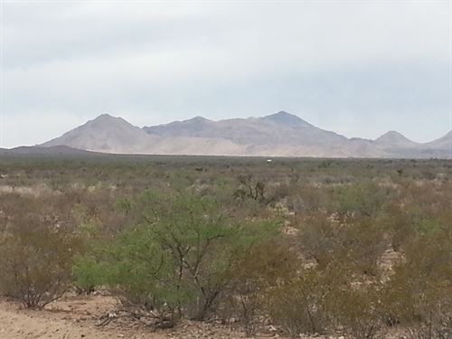20 Ac Rolling Terrain, $0 Down : Salt Flat : Hudspeth County : Texas