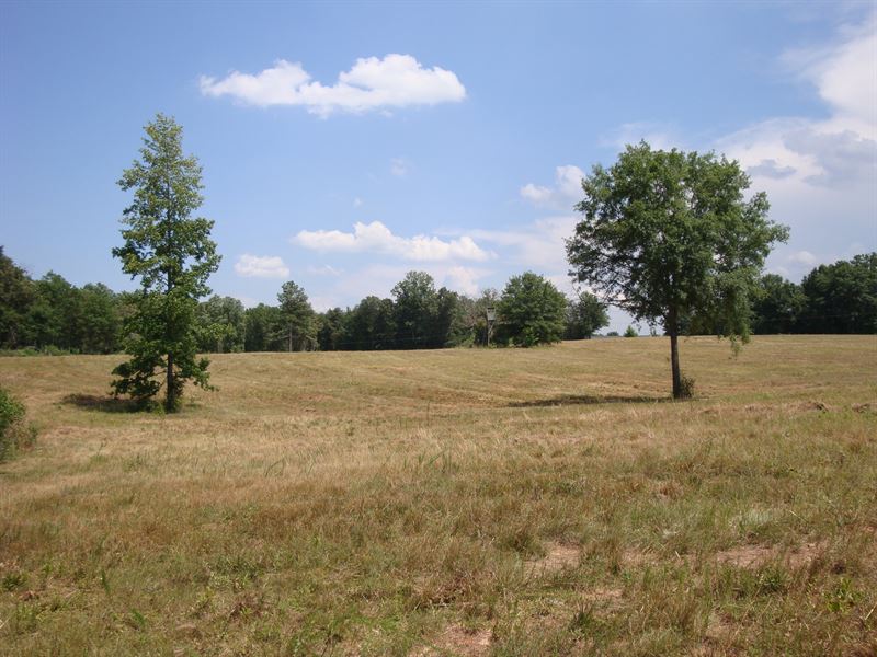 Rabun Church Farm : Gray Court : Laurens County : South Carolina