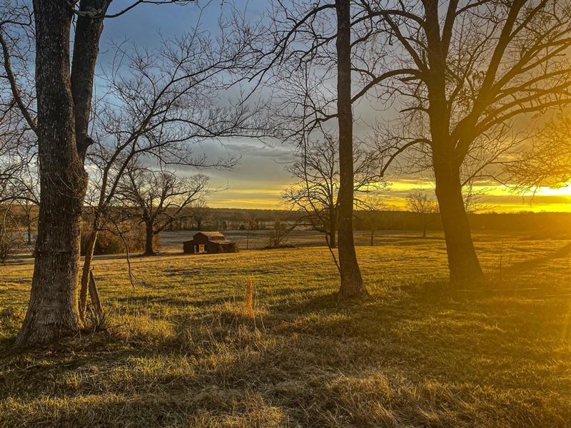 Matubby Creek Farm 415 Acres : Aberdeen : Monroe County : Mississippi