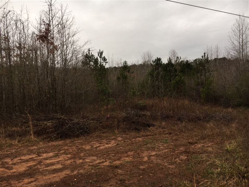 34.9 Ac On 3362 Hwy 154 Newnan : Newnan : Coweta County : Georgia