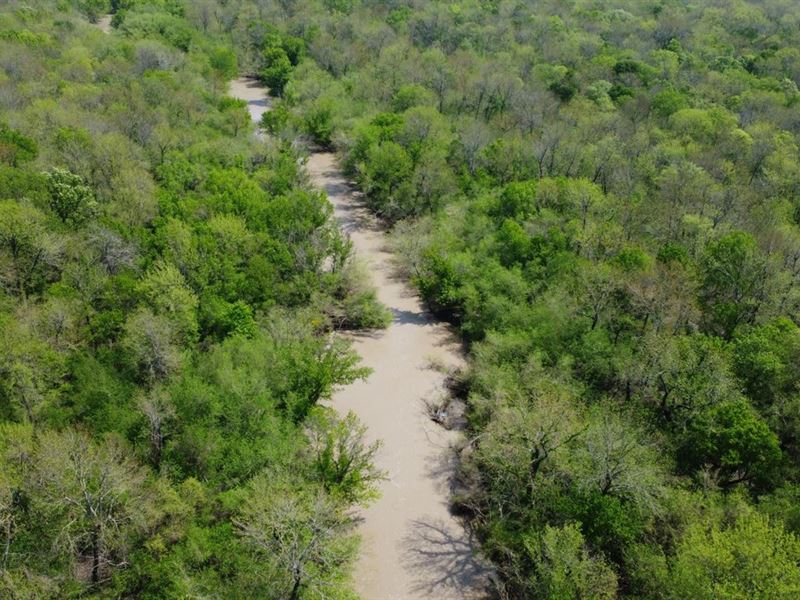 116-Acre Recreational Tract in Fran : Talco : Franklin County : Texas