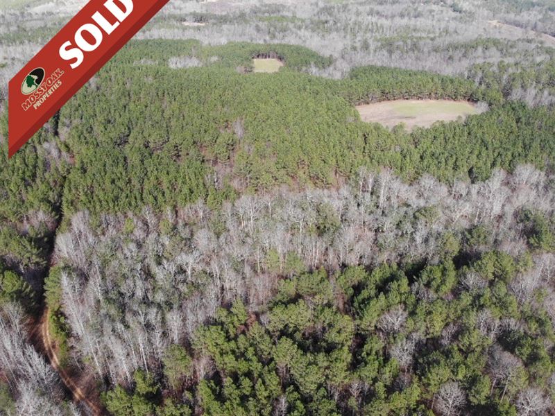 Fayette County Hunting Recreational : Bankston : Fayette County : Alabama