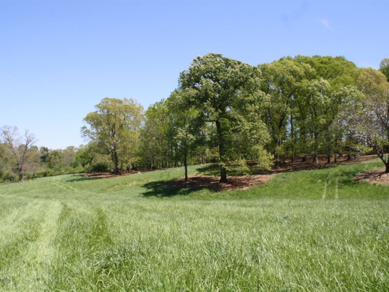 48+/- Acres W/ Ponds & Homesites : Bowdon : Carroll County : Georgia