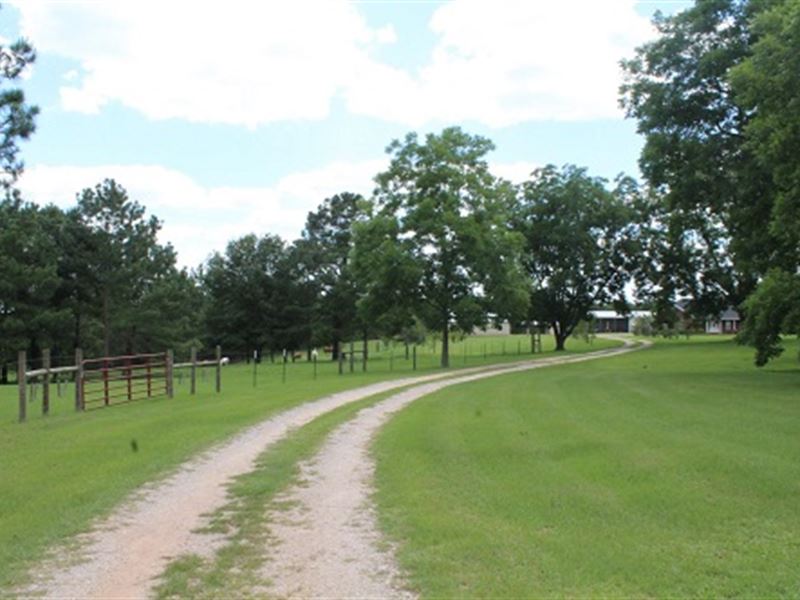 158 Acre Diverse Farm With Home Land for Sale in Enterprise, Coffee