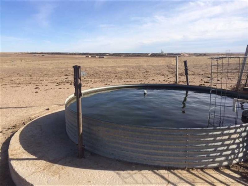 1248 Acre Cattle Ranch Lakin : Lakin : Kearny County : Kansas