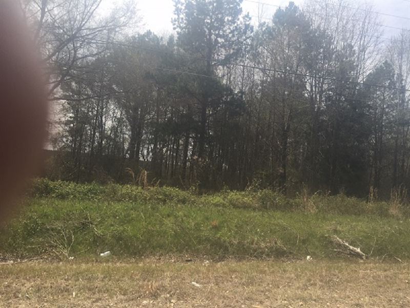 8.25 Wooded Acres in Pike County : Troy : Pike County : Alabama
