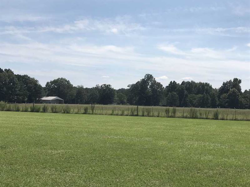 215 Acres Pasture and Timberland : Rison : Cleveland County : Arkansas