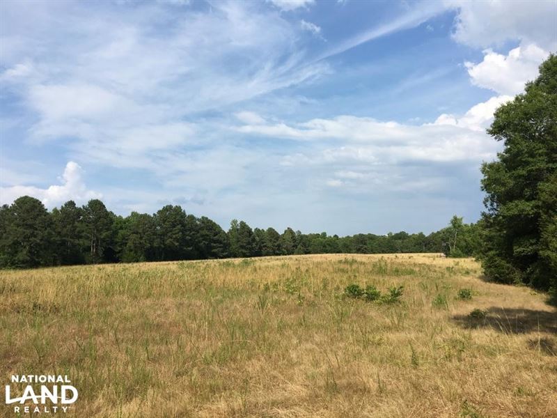 Farmland with Large Creek and Hardw : Lowndesville : Abbeville County : South Carolina
