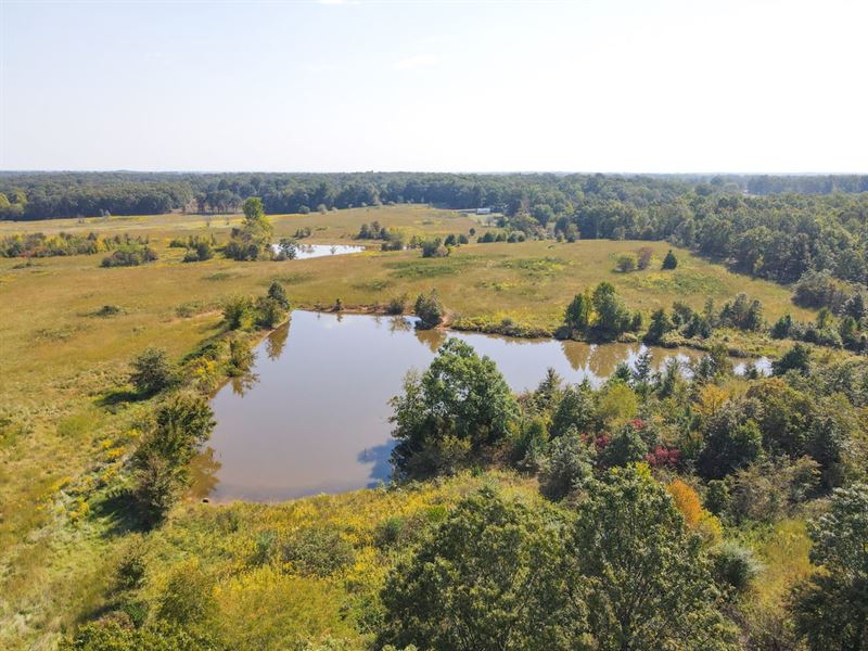 240 Acres for Sale in Ripley Cou : Doniphan : Ripley County : Missouri