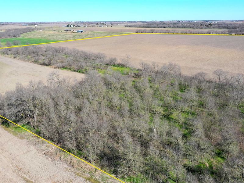 44+ Acres, Content School Rd : Temple : Bell County : Texas
