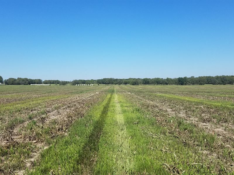 Brewster Road Ranchettes, Tract 5 : Temple : Bell County : Texas