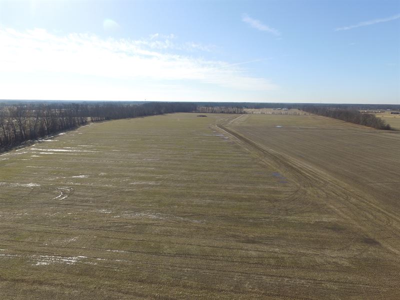 411 Acres Vacant Land Clermont Co. : Goshen : Clermont County : Ohio