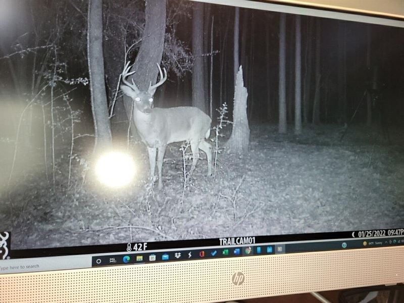 James Road Tract, Bienville Parish : Fryeburg : Bienville Parish : Louisiana