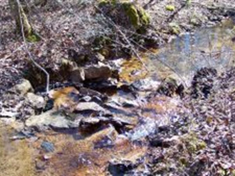 92+/- Acres Etowah County, Al : Collinsville : Etowah County : Alabama