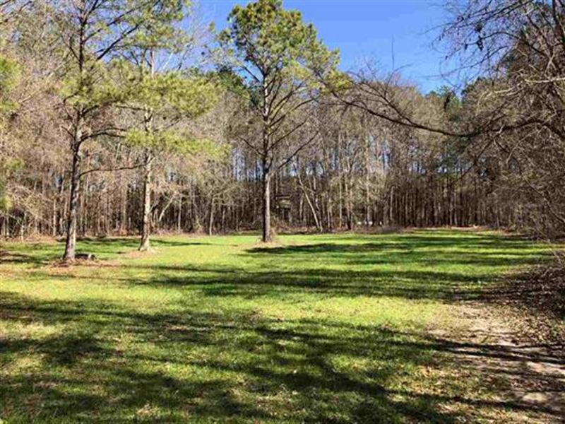 Great Hunting Recreational Tract : Perry : Houston County : Georgia