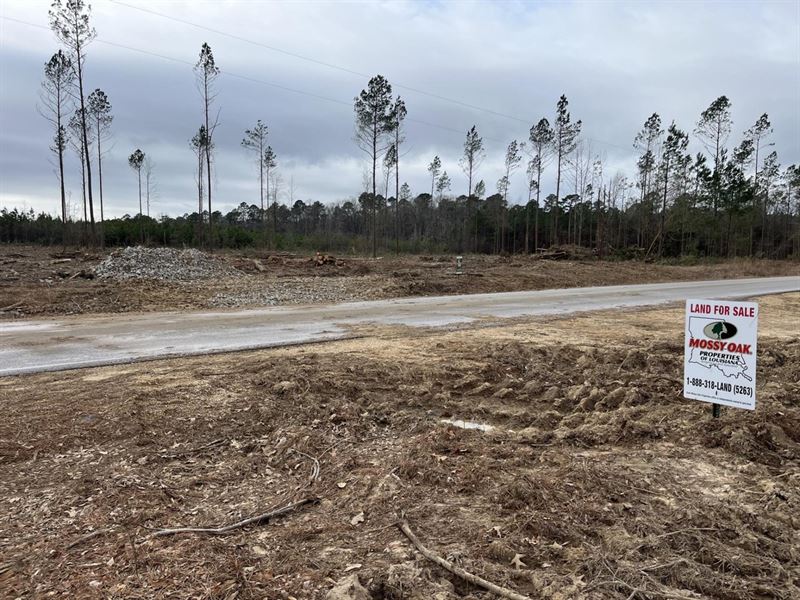 40 Acres at McKinney Crossing : Warren : Bradley County : Arkansas