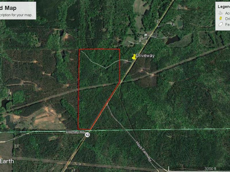 Mature Timber and Great Hunting : Forsyth : Monroe County : Georgia
