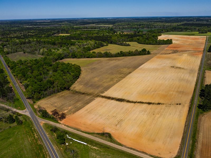Income Producing Recreational Tract : Montezuma : Macon County : Georgia
