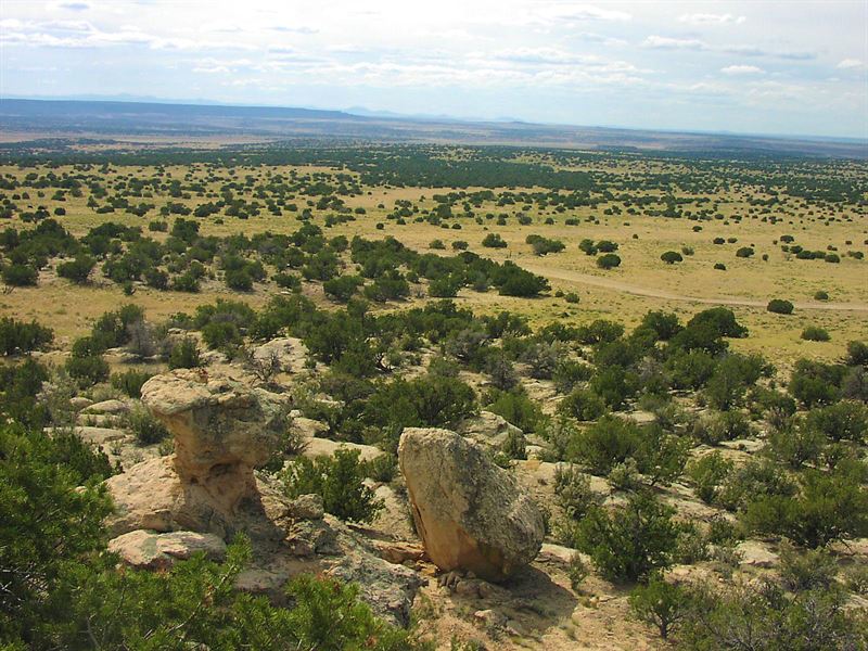 161 Acre Northern Az Ranch : Saint Johns : Apache County : Arizona