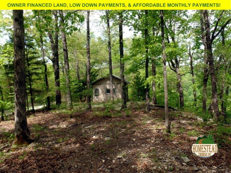 Cabin, with Plenty Of River Front : Tecumseh : Ozark County : Missouri