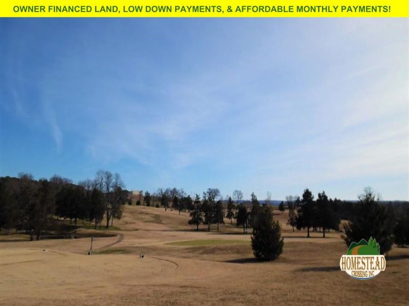 Golf Course Building Lot Land for Sale by Owner in Diamond City