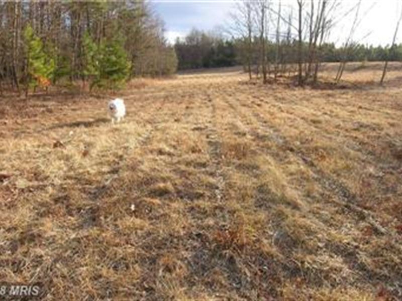 Beautiful Piece Of Property : Moorefield : Hardy County : West Virginia