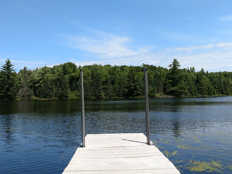 Beautiful Lot On Mud Lake Land for Sale in Presque Isle, Vilas County