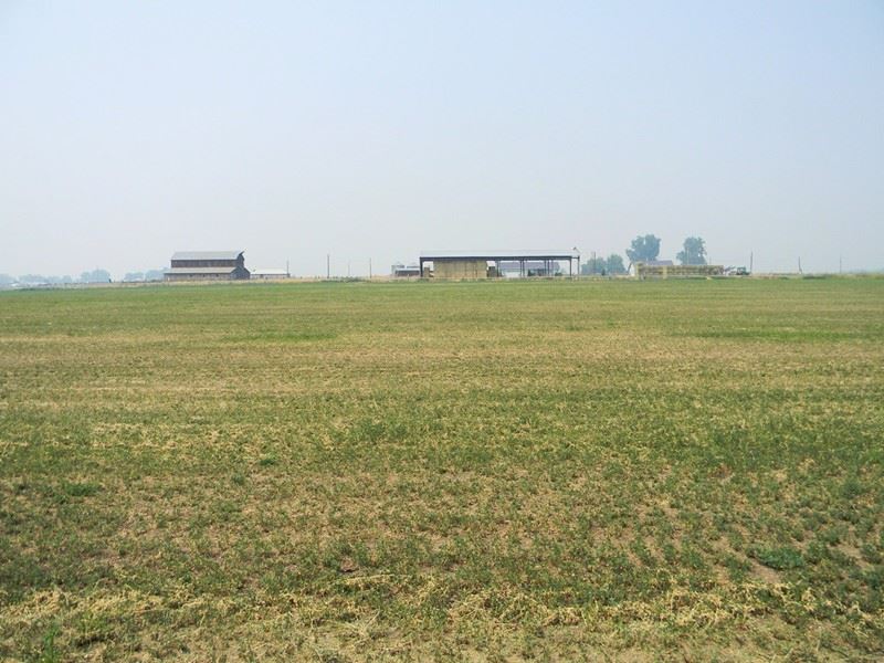 Established Alfalfa Farm, 2 Homes : Klamath Falls : Klamath County : Oregon