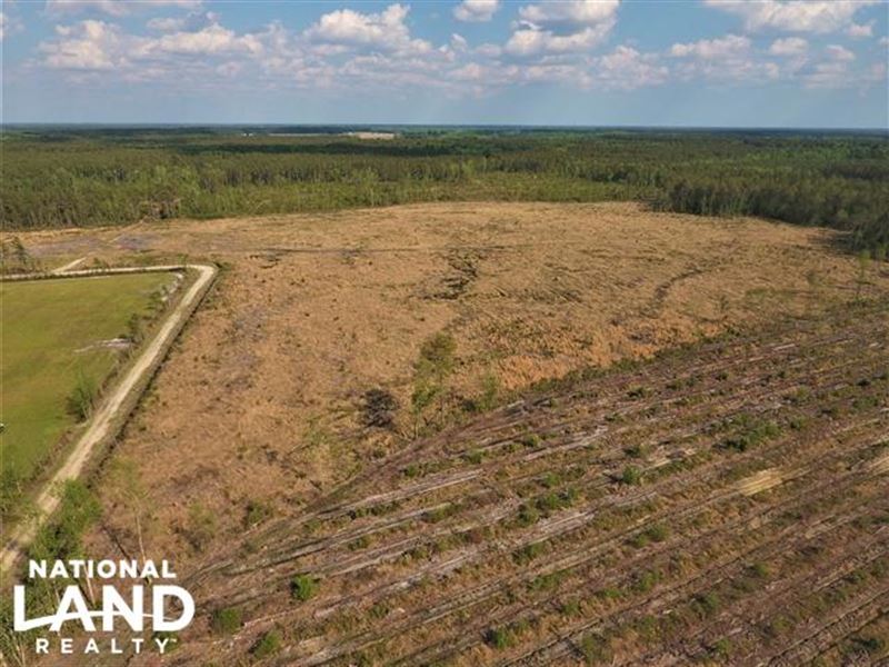 Marion Tract : Kinston : Lenoir County : North Carolina