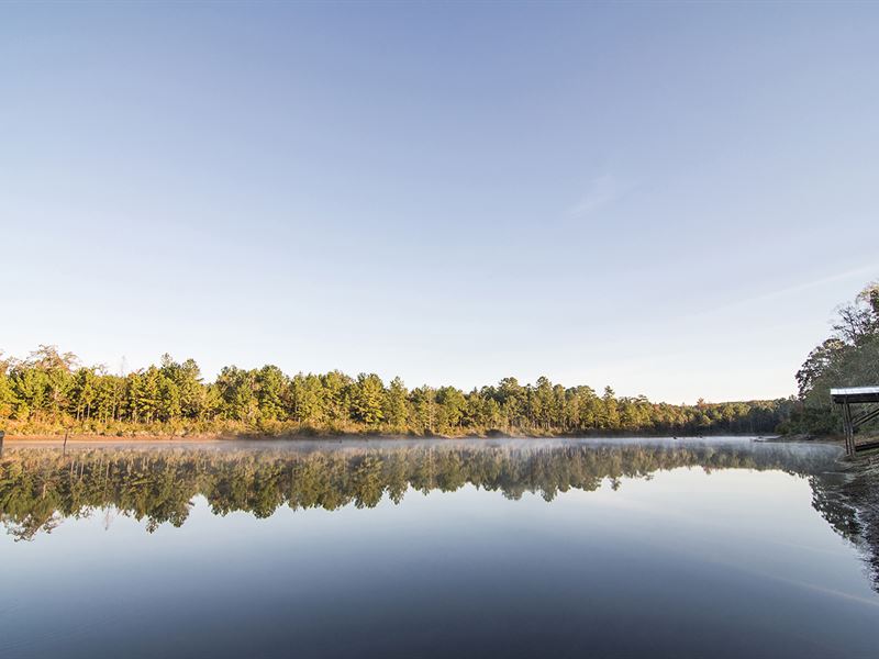 Plantation with Year Round Hunting : Bainbridge : Decatur County : Georgia