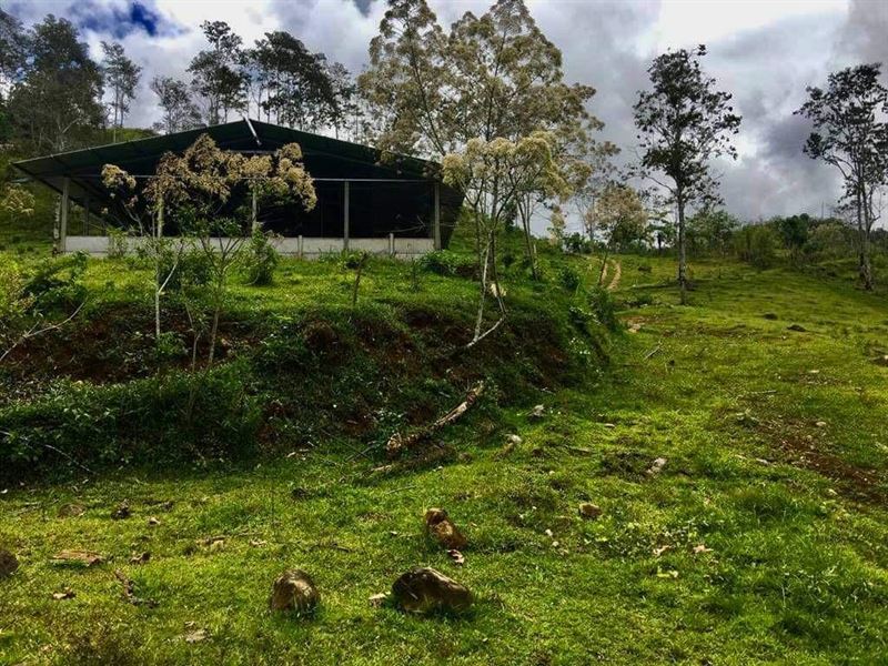 9.39 Ac Cattle Farm, Barn, Springs : Jabillos De Turrialba : Costa Rica