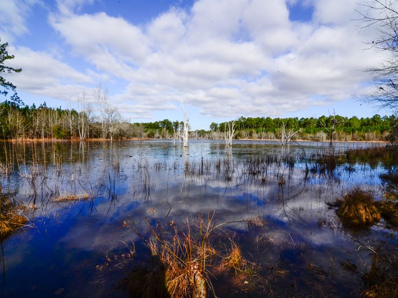 Prime South Georgia Location : Donalsonville : Seminole County : Georgia