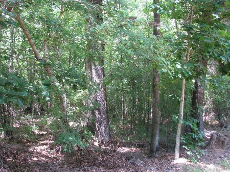Garrett 235 : Old Texas : Monroe County : Alabama