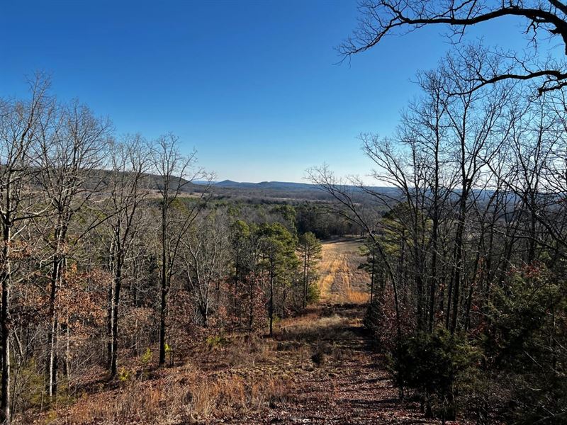 37.78 Acres in Bee Branch Near Gree : Bee Branch : Arkansas County : Arkansas