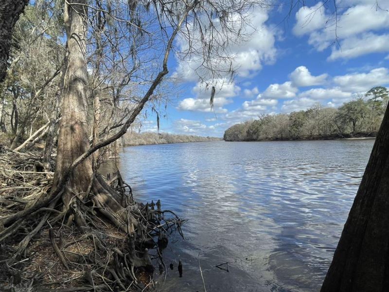 Suwannee River Dreams : Old Town : Dixie County : Florida