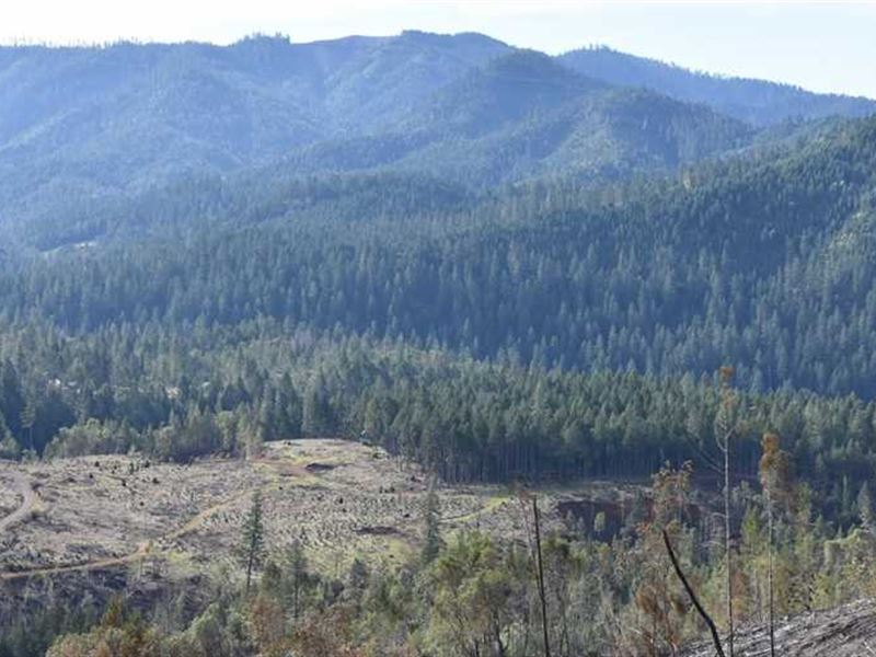 Lower Grave Creek Ranch : Wolf Creek : Josephine County : Oregon