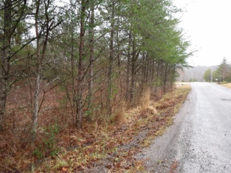 3.48Ac, Wooded, Mostly Level : Crossville : Cumberland County : Tennessee