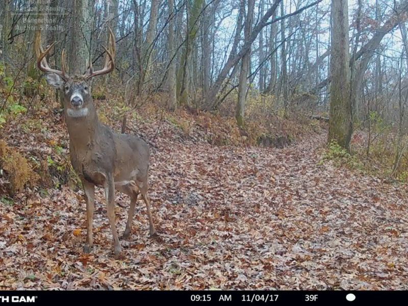 Remarkable Recreational Property : Ferryville : Crawford County : Wisconsin