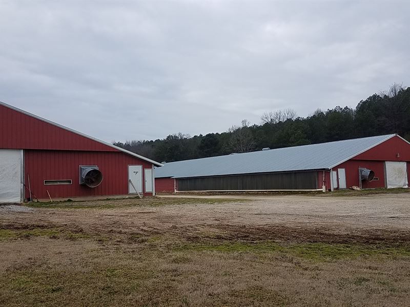 Chesnut Flat Farm : Lafayette : Walker County : Georgia