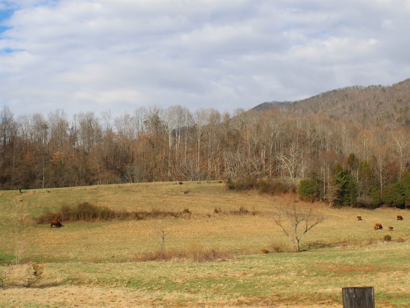 40.78 Unrestricted Acres Near Lake : Mooresburg : Hawkins County : Tennessee