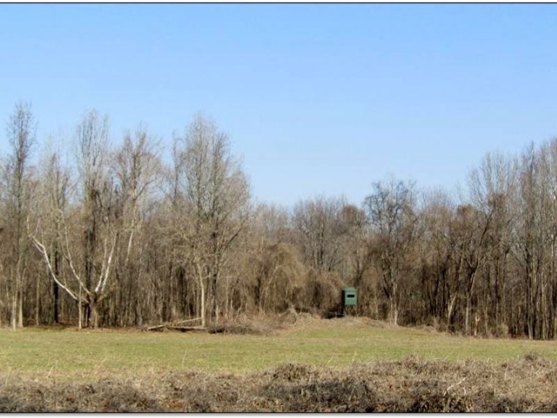 74.3 Acres in Panola County : Crenshaw : Panola County : Mississippi